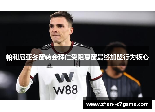 帕利尼亚冬窗转会拜仁受阻夏窗最终加盟行为核心